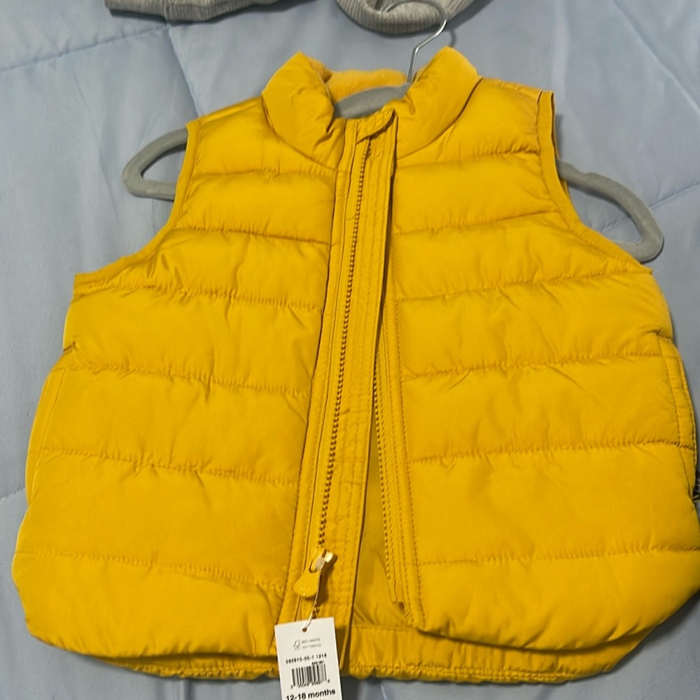 Vest